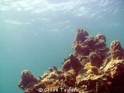 Abrolhos Islands ;) by Chloe Taylor 